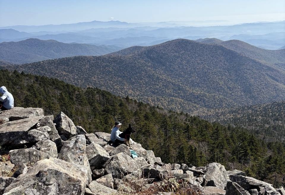 IMAGE 2025-10-09 123343.jpg